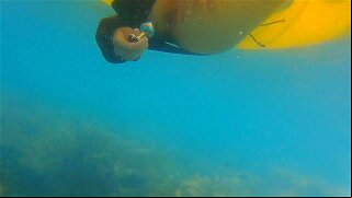 ENJOY Butt Plug IN and OUT among Fish n Corals