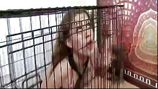 Tiny and curly hair Rebel Lynn gets her pussy fucked by Bruce